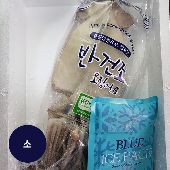 반건조오징어-소10미(0.85kg)
